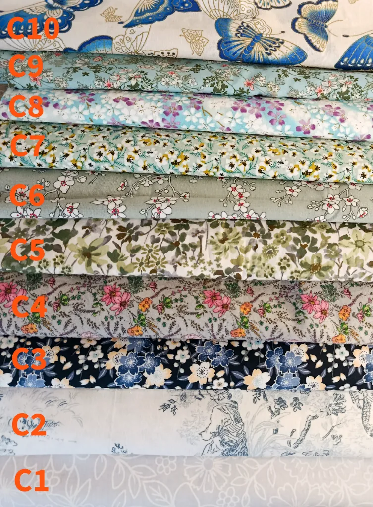 Choix de personnalisation C1 - C10