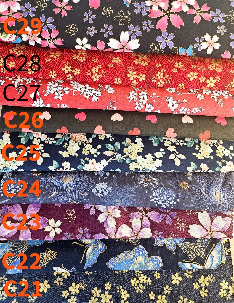 Choix personnalisation C21 - C29